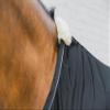 Kentucky - Black Mesh Fly Sheet 125-5'9 view 3