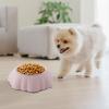 Stainless Steel Pet Bowl for Food and Water view 2