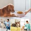 Stainless Steel Pet Bowl for Food and Water view 4