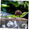 Sosoport 5-Piece Lizard Costume Outfit, Reptile Pet Costume, Light Brown view 3