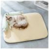 SJWJWOO Cooling Mat for Cats with Elevated Edges, Removable Washable Cover for Dogs, Non-Slip for Home, Travel or Car, Yellow-L view 1