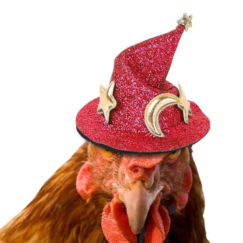 Lpitoy Halloween Pet Hat, Adjustable Witch Hat for Pets