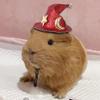 Lpitoy Halloween Pet Hat, Adjustable Witch Hat for Pets view 3