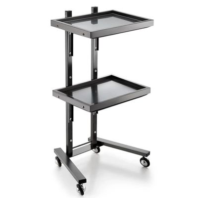 MiBoce 2-Tier Stainless Steel Salon Storage Cart with Wheels, Foldable