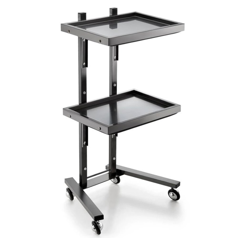 MiBoce 2-Tier Stainless Steel Salon Storage Cart with Wheels, Foldable