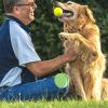 Teksome Silicone Dog Training Treat Pouch view 3