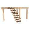 Hamster Climbing Platform Playground, 2 Levels with Ladder view 3