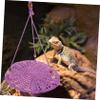 Sosoport Reptile Hammock for Lizards and Bearded Dragons view 2