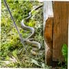 Sosoport Stainless Steel Snake Catcher with Folding, Non-Slip Design view 3