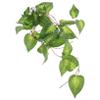 Sosoport 4-Piece Artificial Decorative Plants for Reptile Terrariums, Lifelike Habitat Simulation for Turtles, Lizards, and Snakes, Durable and Low-Maintenance view 2