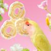 Bird Spinner Toy view 3