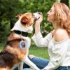 Silicone Treat Pouch for Dogs view 2