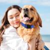 Adjustable Puppy Collar - Dog Comfort Collar view 2