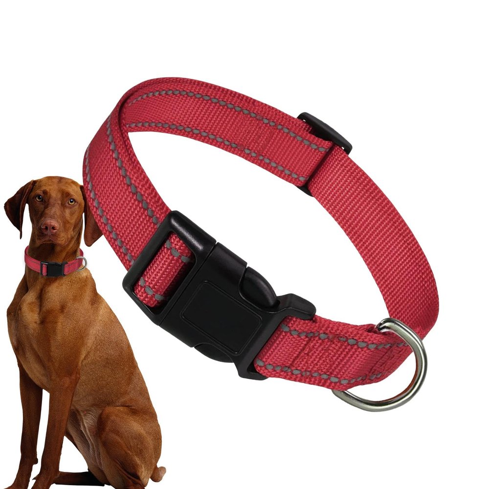 Dreuhuing Reflective Dog Collar