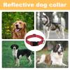 Dreuhuing Reflective Dog Collar view 4