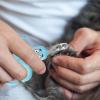 Dog Nail Clippers - Professional Grooming Tools view 2