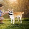 Adjustable Reflective Dog Muzzle view 4