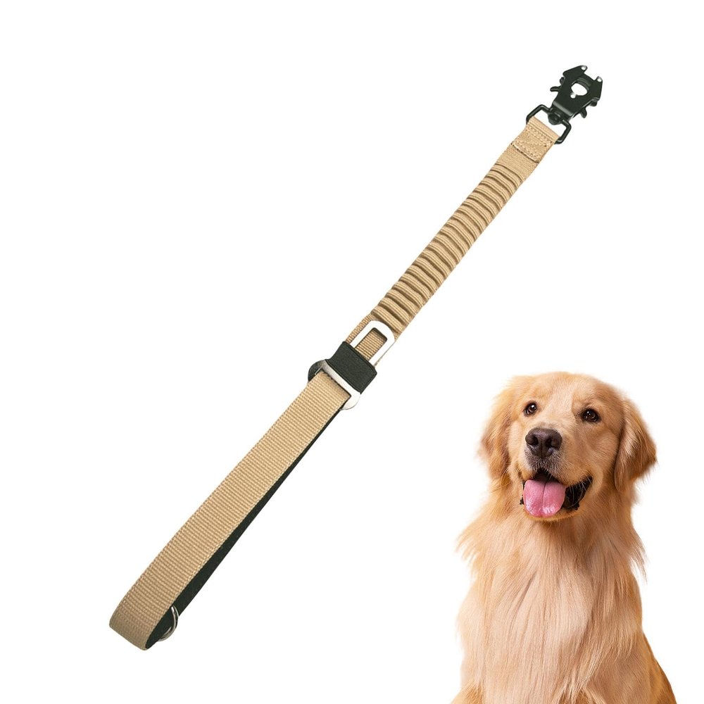 Elastic Dog Leash