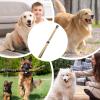Elastic Dog Leash view 4