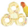 Spinner Toy, Bird Spinner Toy – Colorful Bird Cage Toy view 1