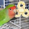 Spinner Toy, Bird Spinner Toy – Colorful Bird Cage Toy view 2