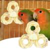 Spinner Toy, Bird Spinner Toy – Colorful Bird Cage Toy view 3