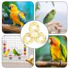 Spinner Toy, Bird Spinner Toy – Colorful Bird Cage Toy view 4
