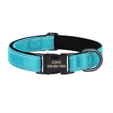 Personalized Adjustable Reflective Dog Collar, Blue, M
