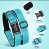 Personalized Adjustable Reflective Dog Collar, Blue, M view 4