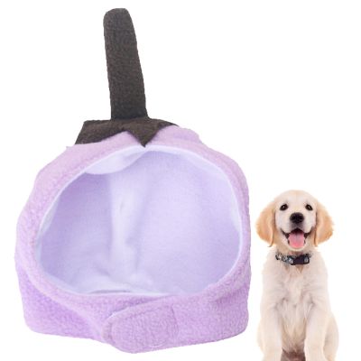 Pet Hat for Small Dogs and Cats
