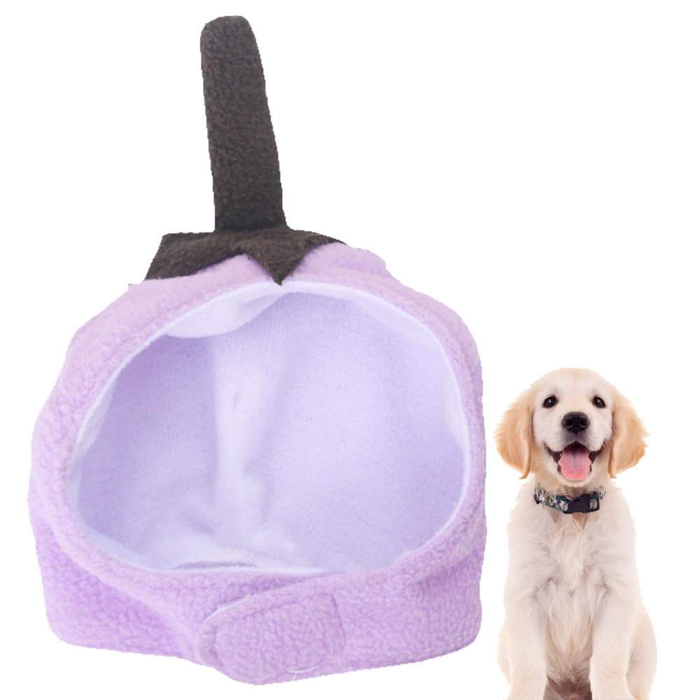 Pet Hat for Small Dogs and Cats