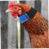 HANABASS 2-Pack Anti-Crowing Collar for Chickens view 3
