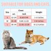 Cat Harness and Leash Set view 2