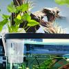 Aquarium Plant Holders, Decorative Aquarium Plant Pots view 3