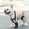 Ruwshuuk Dog Elbow Protector view 3