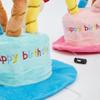 Birthday Hat for Pets - Blue view 2