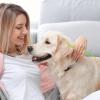 Tick Remover for Pets - 2 Piece Set view 2