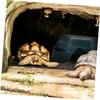INOOMP Multifunctional Reptile Hide with Climbing Platform view 4
