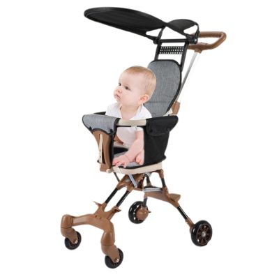 Lightweight Portable Stroller with Canopy