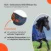 RL24 - 600D IRH Super-Dry Outdoor Horse Blanket, Navy, 145 cm (100 g/m) view 4