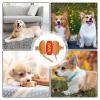 Dog Costume for Small Dogs | Hot Dog Burger Costume view 4