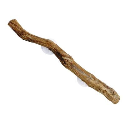 Reptile Climbing Branches