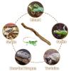 Reptile Climbing Branches view 4