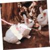 Supvox 3-Piece Rabbit Clothing and Leash Set for Small Pets view 3