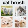 Cat Brush with Comb view 4
