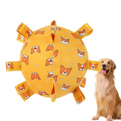 Soccer Ball Dog Toy