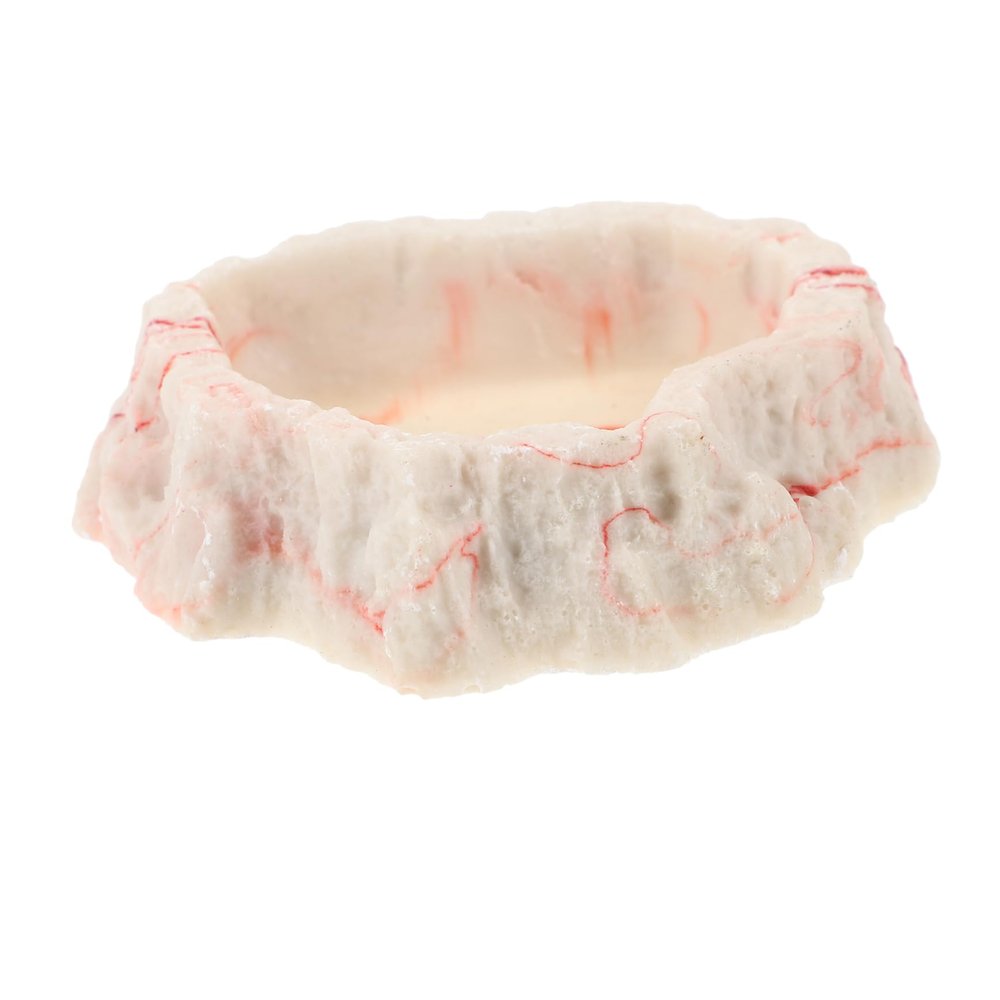 HAPINARY Resin Reptile Food Bowl, Stone-Look Water Dish for Turtles and Lizards