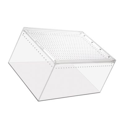 Transparent Acrylic Reptile Cage for Observation and Panoramic Viewing
