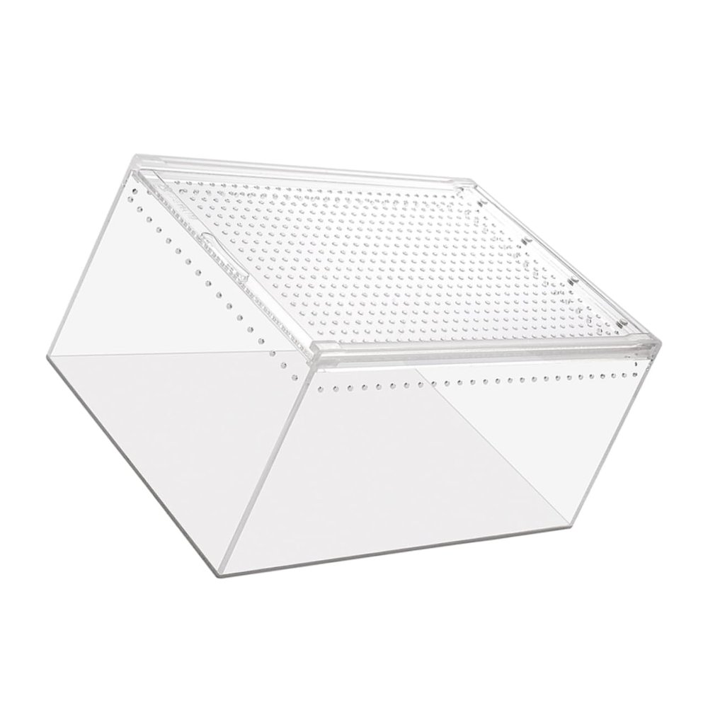 Transparent Acrylic Reptile Cage for Observation and Panoramic Viewing