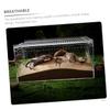 Transparent Acrylic Reptile Cage for Observation and Panoramic Viewing view 4